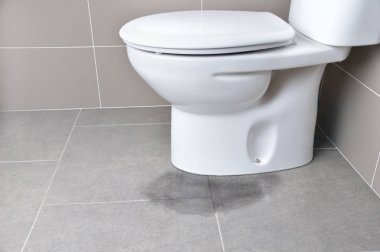 toilet_leak